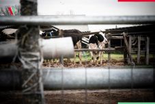 Szomszédban a vírus – Szigorú intézkedések Romániában