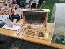 A hosszú tél megtizedelte a Hargita megyei méhállományt