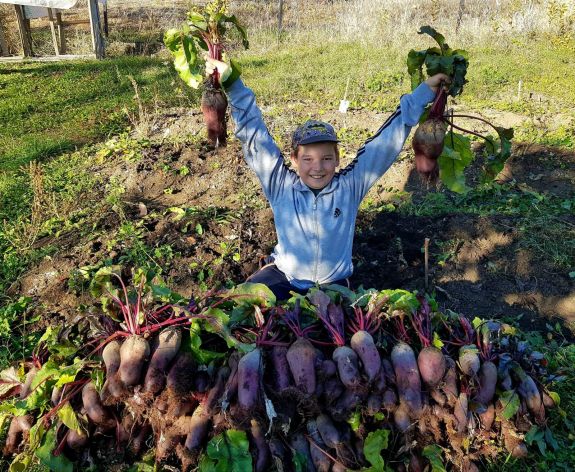 Több mint négyezer diák vesz részt a Hargita megyei Kiskertész programban