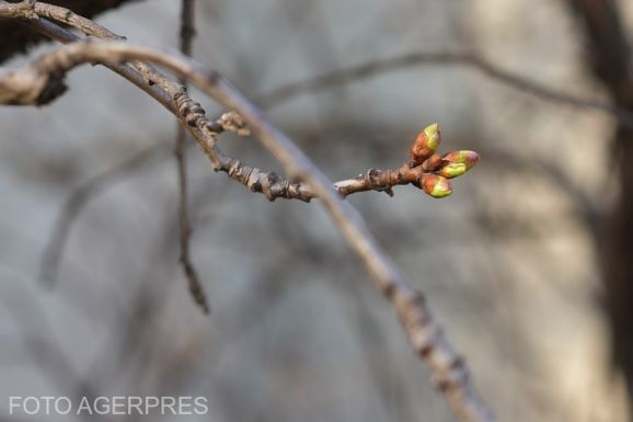Négyhetes előrejelzés: hideget-meleget jósolnak