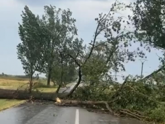 Halálos áldozata is volt a viharnak