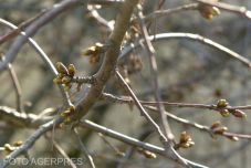 A hét elején országszerte nagyon hideg lesz – Mikor jön a felmelegedés?