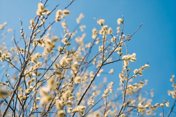 Felmelegedik az idő: még 25 Celsius-fok is lehet