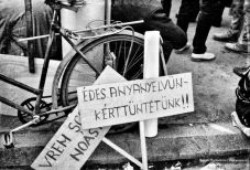 Pogromtól a populizmusig