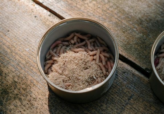 Elutasítják a pékek a darált kukac felhasználását termékeikben