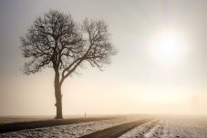 Ködre és jegesedésre figyelmeztetnek Hargita megyében