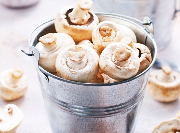 Erdélyi cég Románia első számú gombatermesztője