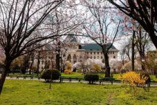 Főpolgármestert keres Bukarest