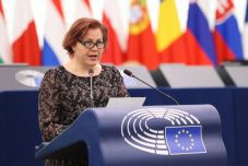 A vajdasági magyarság hangja Brüsszelben