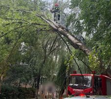 FRISSÍTVE – Tarolt a vihar Hargita megyében – Ezrek maradtak áram nélkül