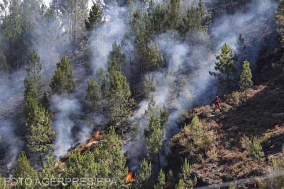 Spanyolország: 400 ezer hektárnyi zöld területet emésztett fel a tűz (VIDEÓ)