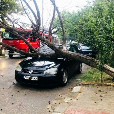 FRISSÍTVE – Áldozatokat követelt a viharos időjárás: hárman meghaltak és négyen megsérültek