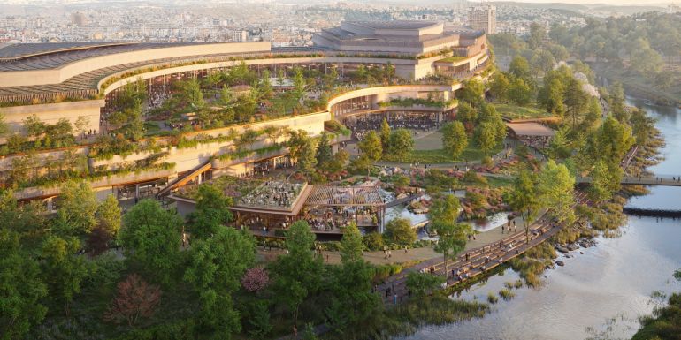 Zöld oázis Kolozsváron – Itt nevelik a jövőbeli RIVUS „erdejének” fáit