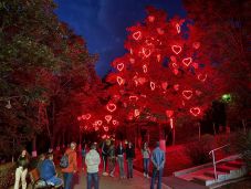 Háromnapos Zilahi Napok – koncertek, gyermekprogramok és látványos show-k várnak a hétvégén