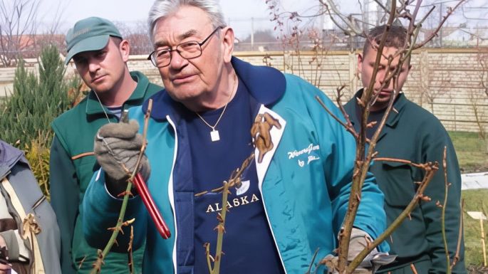 Szobrot állítanak Erdély híres rózsanemesítője, Wagner István tiszteletére