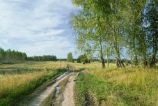 Négyhetes előrejelzés: a szokásosnál melegebb és esős lesz szeptember 