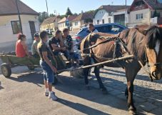 Szekérstop Sepsiszentgyörgyön: járműveket és lovakat foglaltak le
