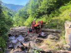 Holttestet talált egy pásztor