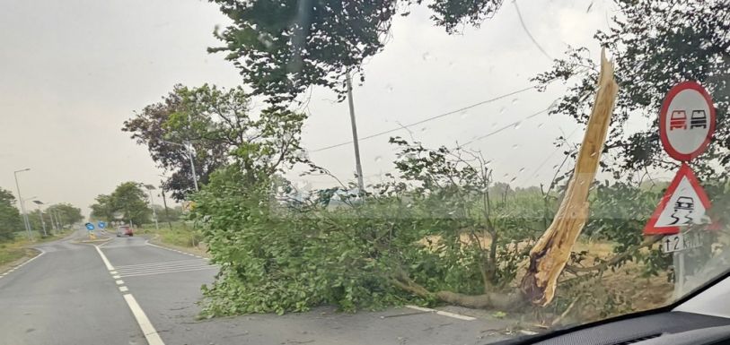 Szatmár megyét sem kerülte el az ítéletidő (VIDEÓ)