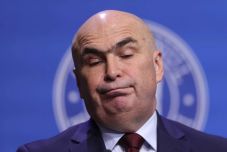 Juhok a búzamezőben