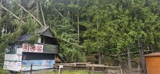 Fákat döntött ki a vihar a Szent Anna-tónál