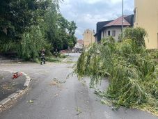 Vihar dúlt Maros megyében: 65 településen több ezren maradtak áram nélkül