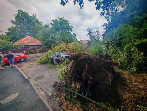 Vihar Kézdivásárhelyen – fák dőltek, autó rongálódott