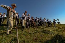 Több mint hagyomány – Újra megszervezik a Kaszáló Kalákát Csíkszentkirályon
