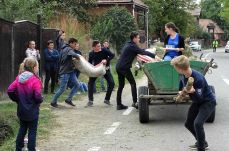 Fekete ribizli, tűzoltóverseny és lovasíjászat: színes lesz a programkínálat Esztelneken
