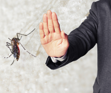 Több mint félmillió lejes támogatásból irtják a szúnyogokat Háromszéken