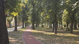 Elkezdik a Bunyitai-liget felújítását Nagyváradon