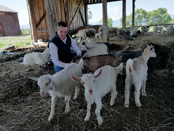 Hagyomány és kihívások: van jövője a Hargita megyei juhászatnak