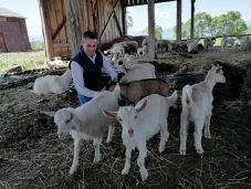 Hagyomány és kihívások: van jövője a Hargita megyei juhászatnak