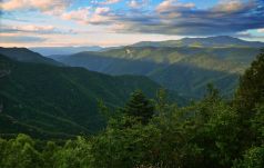 Kevesebb igazgatóság, kevesebb igazgató – Átszervezik a Romsilvát