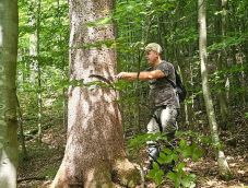 Befejeződött a Romsilva átvilágítása: pénzügyi veszteségek, indokolatlan jutalmak és korrupció-gyanú