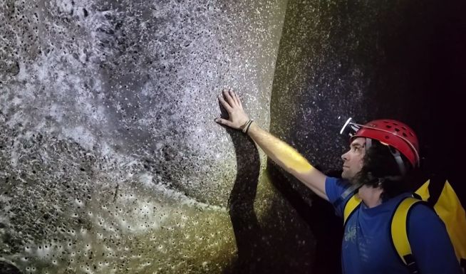 Erdélyi szakértő segített felfedezni a világ talán legnagyobb pókhálóját 