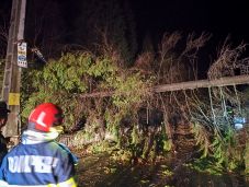 Viharkárok Hargita megyében – Áramkimaradás, úttestre dőlt fa és villanyoszlop