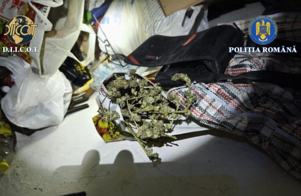 Drograzzia Háromszéken: házkutatások és kihallgatások egy helyi drogdíler ügyében