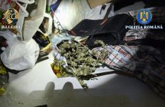 Drograzzia Háromszéken: házkutatások és kihallgatások egy helyi drogdíler ügyében