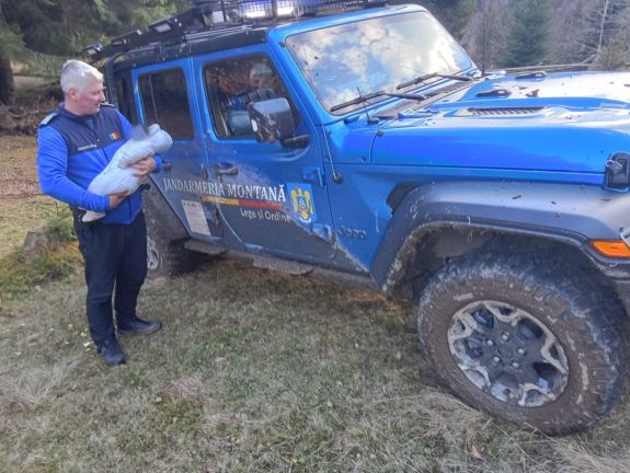 Három hónapos kisbabával tévedt el egy turistacsoport (VIDEÓ)