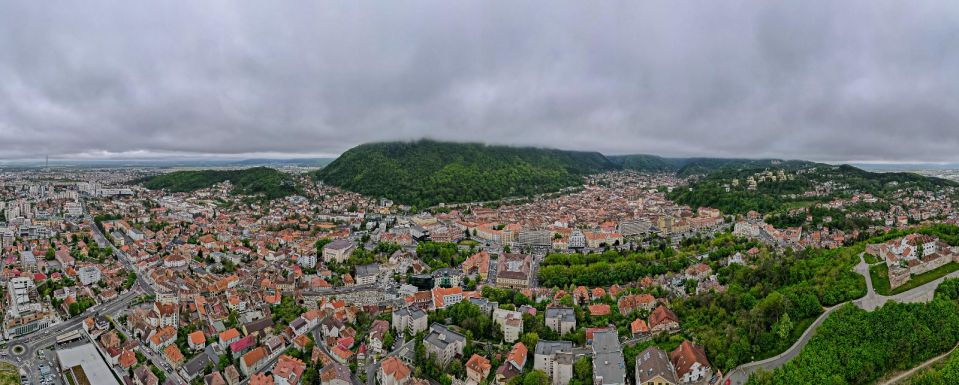 Tervezet: Börtönbüntetés a belterületeken levő fák törvénytelen kivágásáért