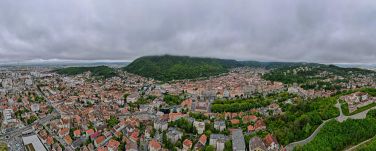 Tervezet: Börtönbüntetés a belterületeken levő fák törvénytelen kivágásáért