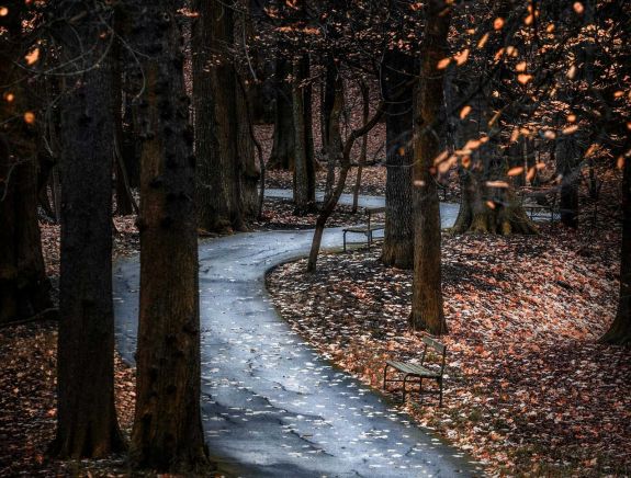 Kéthetes előrejelzés: felmelegedés, majd lehűlés következik