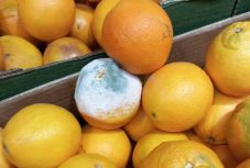 Több millióra bírságoltak a fogyasztóvédők