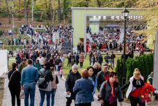 Tizedik alkalommal szervezik meg a Tökfesztivált Szovátán