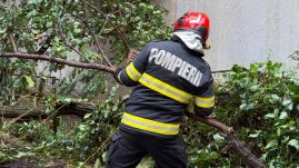 A fővárosban és 27 településen okozott károkat a vihar (VIDEÓ)