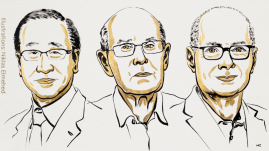 Gazdára talált a kémiai Nobel-díj