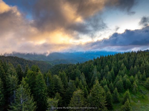 Az elmúlt negyven évben látványos átalakuláson estek át a Kárpátok
