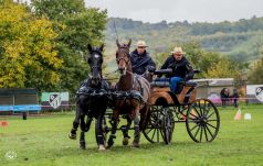 Lovas nemzet, élő hagyomány: ismét fogathajtó verseny volt Krasznán