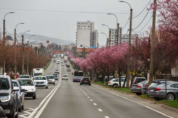 Kötelező gépjármű-biztosítás: Felszólaltak a „rablótörvény” ellen